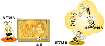 みつばちの社会