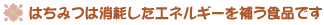 はちみつはエネルギーを補います